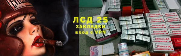 стаф Дмитров