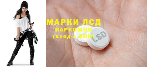 стаф Дмитров