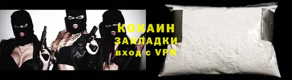 стаф Дмитров