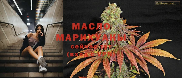 стаф Дмитров