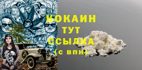 стаф Дмитров