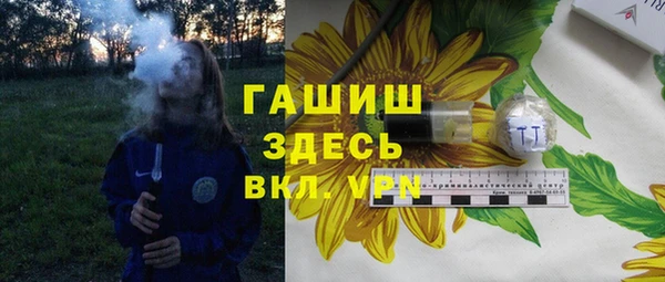 стаф Дмитров