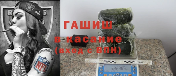 стаф Дмитров