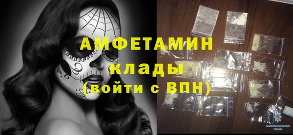 стаф Дмитров